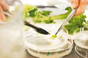 Bayer US Crop Science