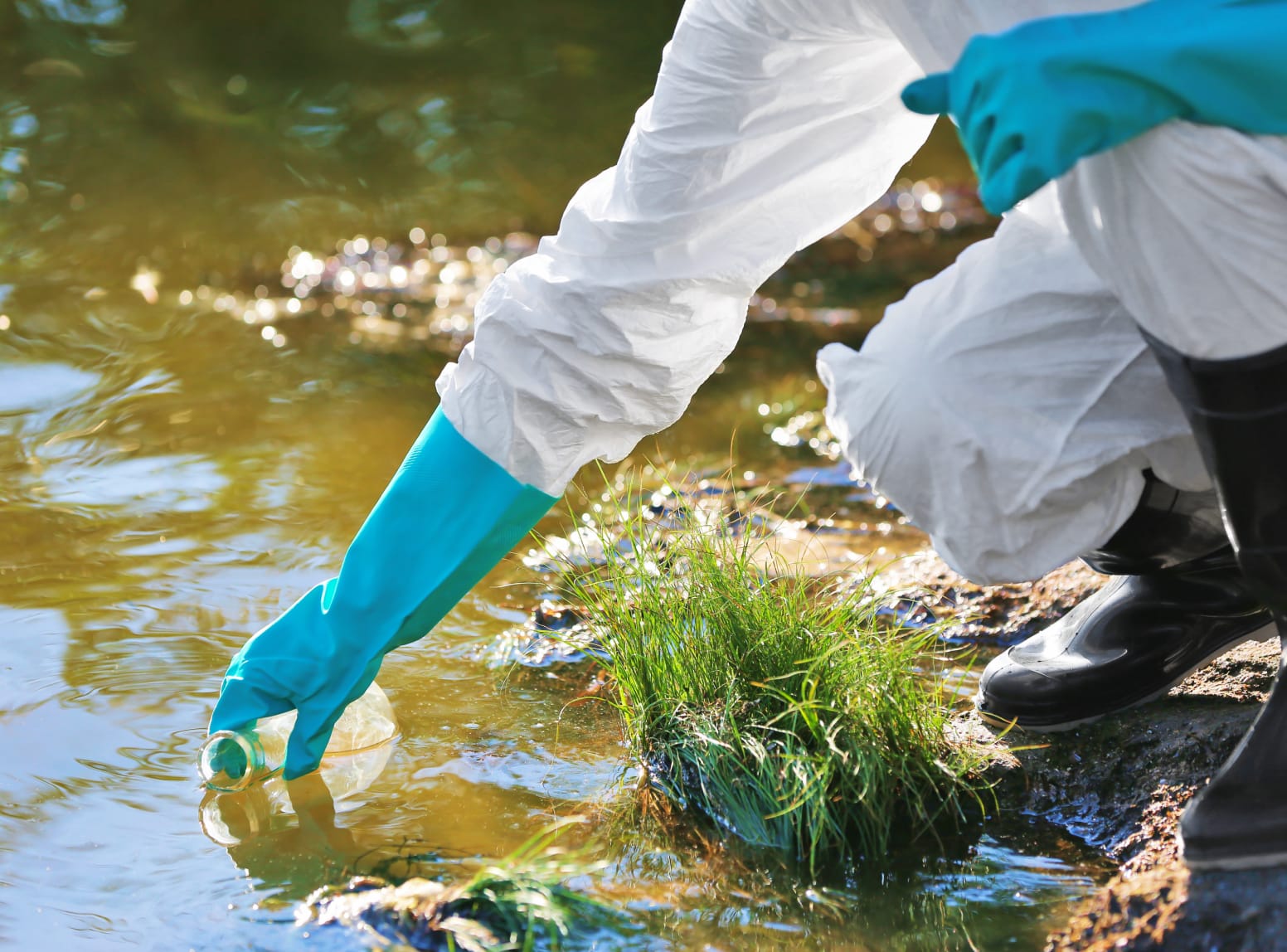 Ecologia Slashes Maintenance Costs by 96% with Remote Monitoring